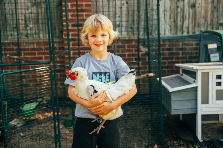 Boy proudly holding a chicken